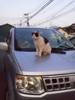 2018042118360000.jpeg