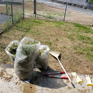 20180807_093716.jpg