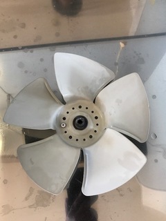 FullSizeRender.jpg