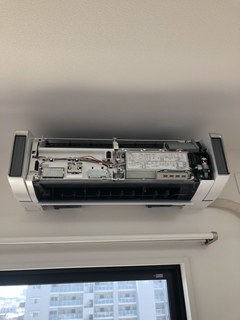 IMG_0770.jpeg