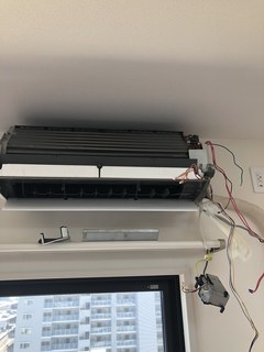 IMG_0772.jpeg