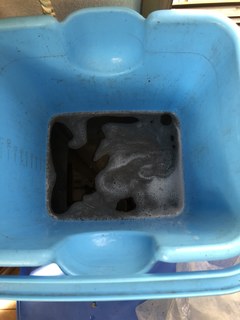 IMG_0996.jpeg
