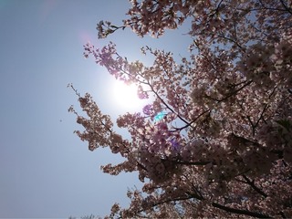 IMG_3991.jpg