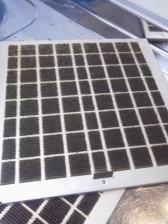 image1.jpeg
