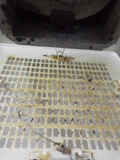 image1 (10).jpeg