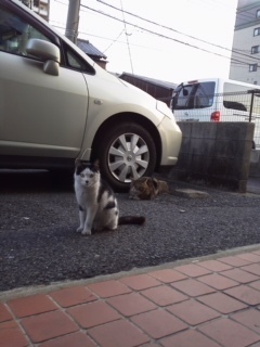 image2 (6).jpeg