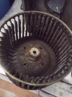image2 (8).jpeg