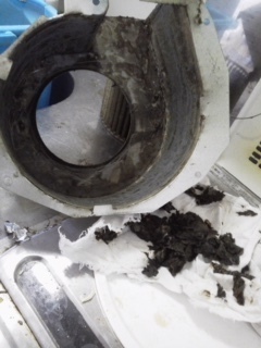 image4 (5).jpeg