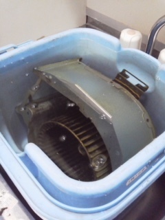 image5 (2).jpeg