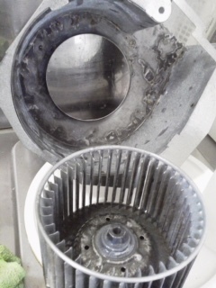 image6.jpeg