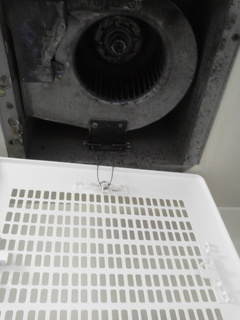 image7.jpeg
