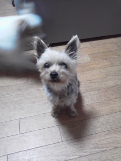 image8.jpeg
